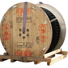 Dây cáp quang 4FO ( Cáp lỏng )