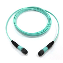 Dây nhảy quang đầu nối  MTP