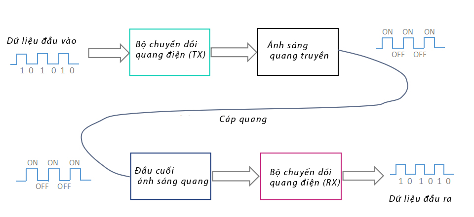 Truyền dẫn cáp quang Cáp quang