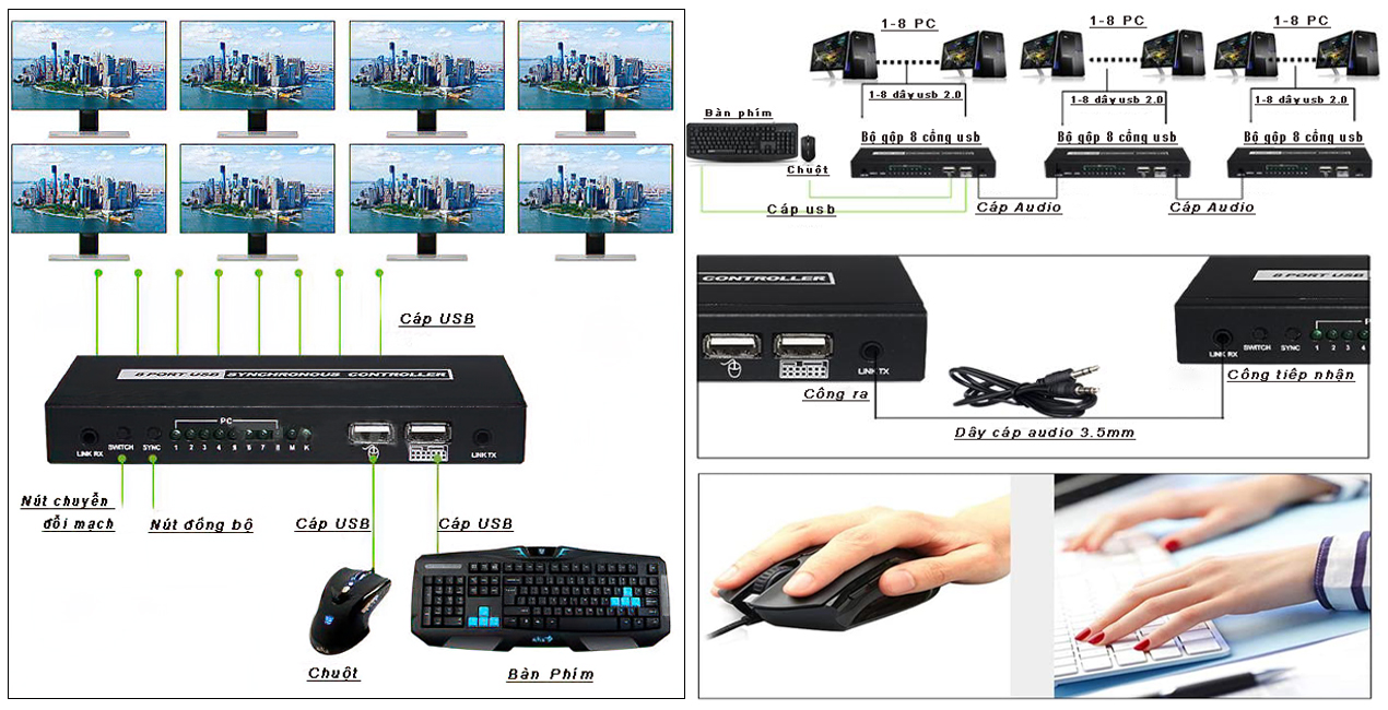 Bộ điều khiển đồng bộ 8 cổng USB cho bàn phím chuột máy tính Ho-link HL-8P-USB