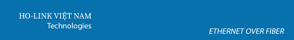 Ho-link-viet-nam-converter